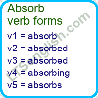 Absorb Verb Forms