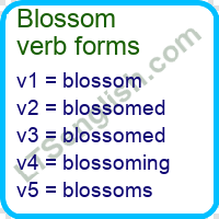 Blossom Verb Forms