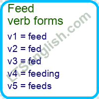 Feed Verb Forms