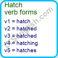 Hatch Verb Forms