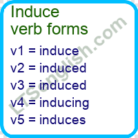 Induce Verb Forms