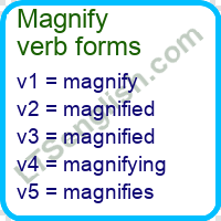 Magnify Verb Forms