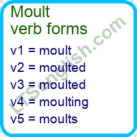 Moult Verb Forms