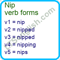 Nip Verb Forms