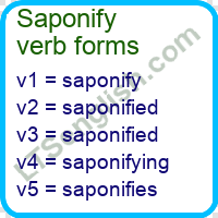 Saponify Verb Forms