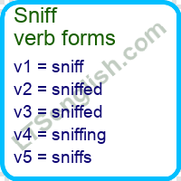 Sniff Verb Forms