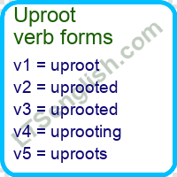 Uproot Verb Forms